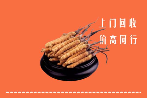 凉州区回收冬虫夏草