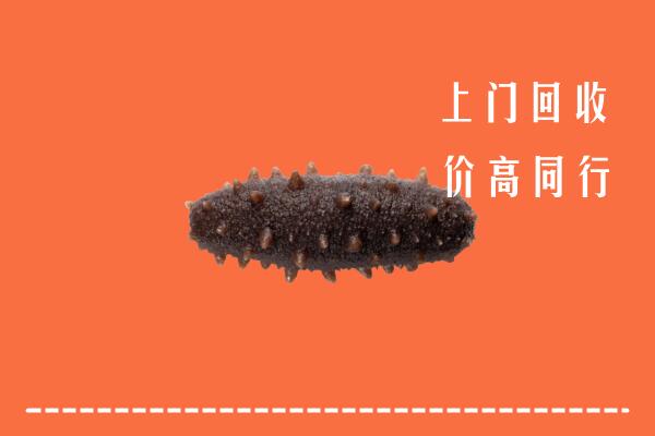 凉州区高价回收海参